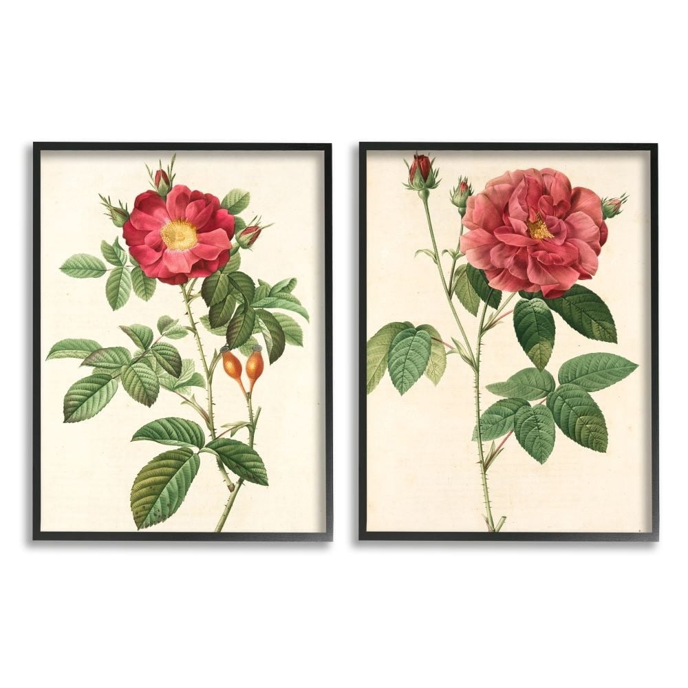 Stupell Industries Traditional Red Flowers with Floral Stem Details Designed by Ziwei Li