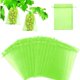 thumbnail image 1 of Bolsa protectora para frutas, 60 unidades, bolsa protectora para uvas, 20 x 30 cm, bolsa de organza para jardín con cordón contra avispas, drosófilas, escarabajos y pájaros, 1 of 5