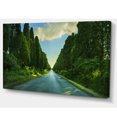 thumbnail image 2 of Straight Cypress Trees Boulevard - Modern Landscape Canvas Art, 2 of 3