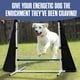 thumbnail image 5 of Set para el patio trasero de Dog Agility Course, artículos para el hogar con túnel y postes, 5 of 7
