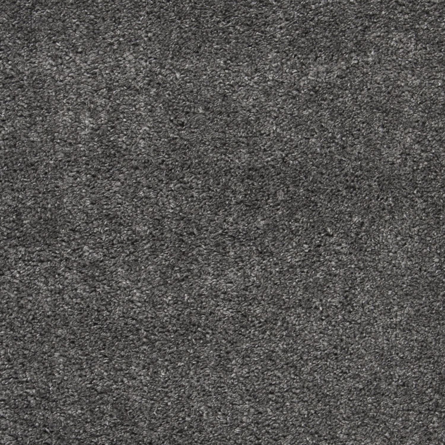 SAFAVIEH August Carlene Tapis Peluche Shag