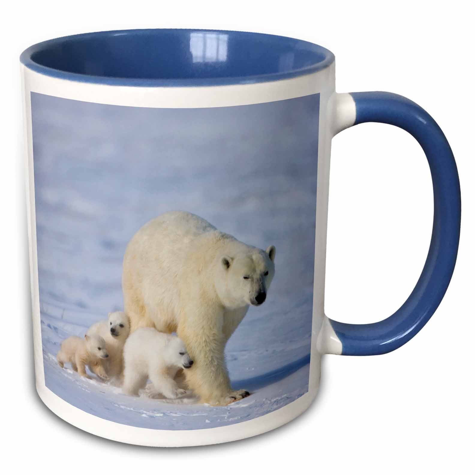 3dRose Polar bear family, Wapusk National Park, Manitoba