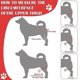 thumbnail image 3 of Dog Knee Brace, Leg Support Brace, Adjustable Rear Leg Braces For Injury Dogs For Torn Acl & Ccl Better Recovery, 3 of 5