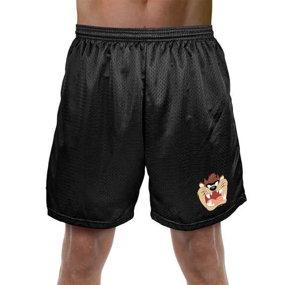 Looney Tunes Taz Mens Lined Mesh Shorts, Black, Large