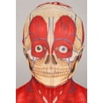 thumbnail image 2 of Kid's Body Skeleton Costume, 2 of 8