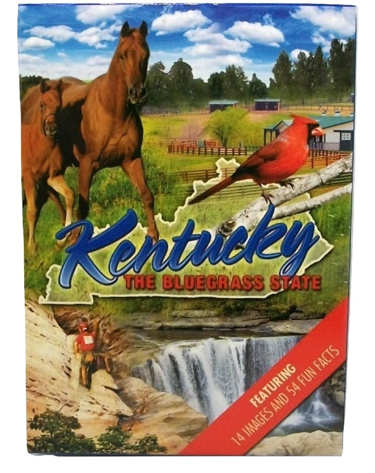 Kentucky The Bluegrass State Playing Cards