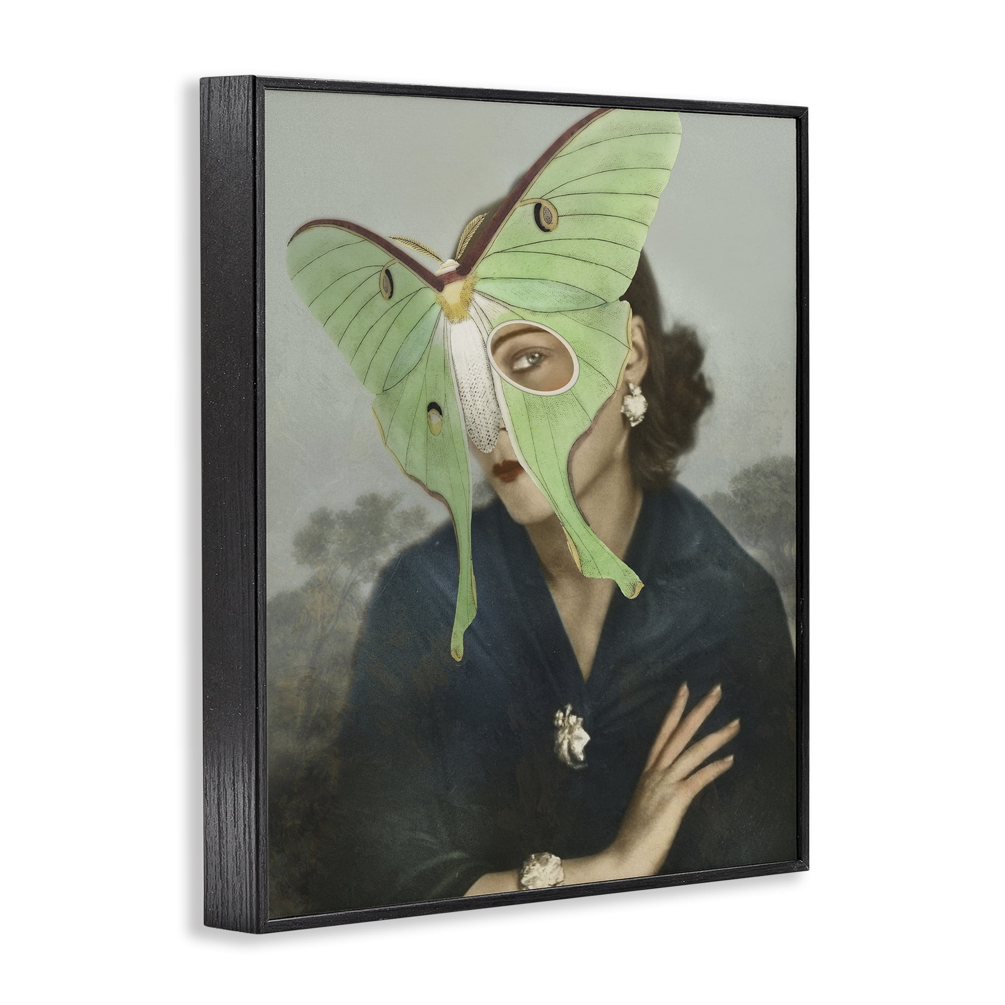 Stupell Industries Naturalist Portrait with Moth Black Framed Giclee Art, design by Victoria Barnes