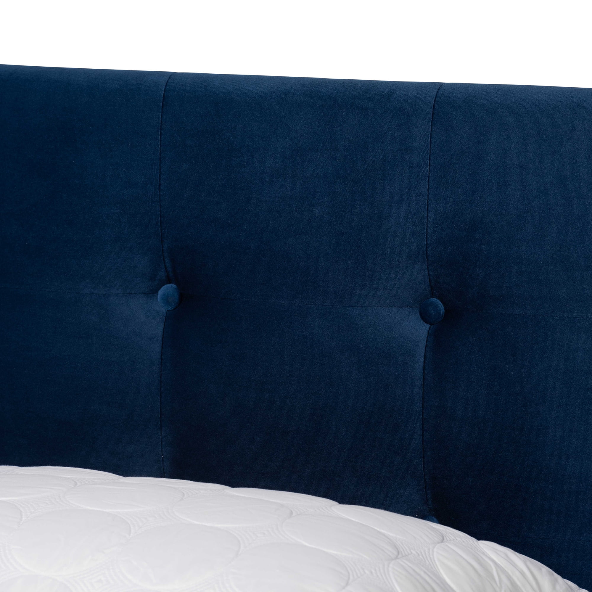 Baxton Studio Caprice Contemporary/Modern Velvet Tufted Panel Bed, Queen, Navy Blue/Black