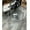 Clear, variant on Heavenly Collection Plastic Arm Chair for Dining Area
