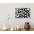 thumbnail image 3 of wall26 Canvas Wall Art A White Striped Agaves Kazo Bana Succulent Botanical Plants Photography Modern Art Farmhouse/Country Dramatic Black and White for Living Room, Bedroom, Office - 16x24 inches, 3 of 4