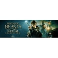 thumbnail image 6 of Fantastic Beasts 3-Film Collection (DVD), 6 of 9