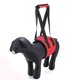 thumbnail image 1 of ZHAOCHENG El cabestrillo para perros para patas traseras ayuda a perros mayores con movilidad limitada, arnés de elevación para perros con soporte para perros, elevador para perros para artritis ROJO, 1 of 5