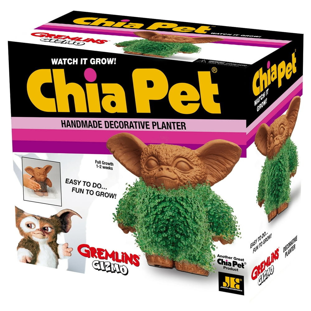 Chia Pet Gizmo from Gremlins Decorative Pottery Planter, Easy to Do and