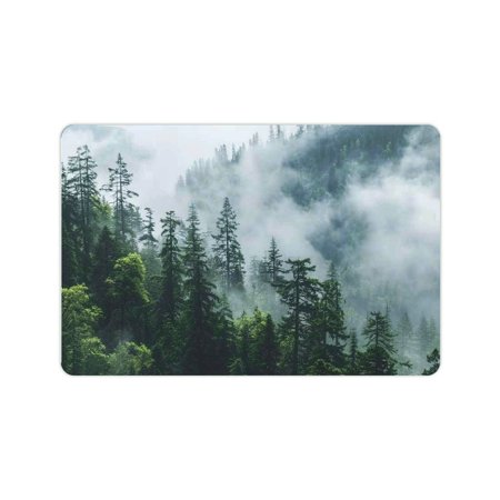 YILUYINQING Diatom Mud Mats Non-Slip Trees Fog Mountain Home Theme Pack of 1 24x16in