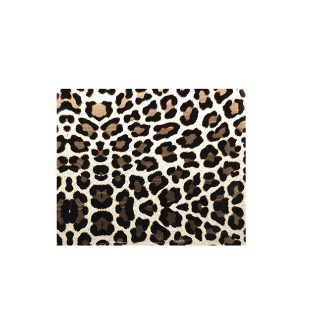 Bewildely 10 piezas de retazos con estampado de leopardo resistentes al desgaste, dulce regalo, costura, tocados, telas acolchadas, tela DIY tipo 5 De coser tipo 11 Bewildely HA062137-11B