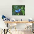 thumbnail image 5 of Zufioo Blue Morpho butterfly Print Canvas Decorative Painting with Solid Wood Frame Art Decoration, Suitable for Home and Office Wall Decoration, 5 of 6
