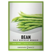 Kentucky Wonder Pole Bean Seeds