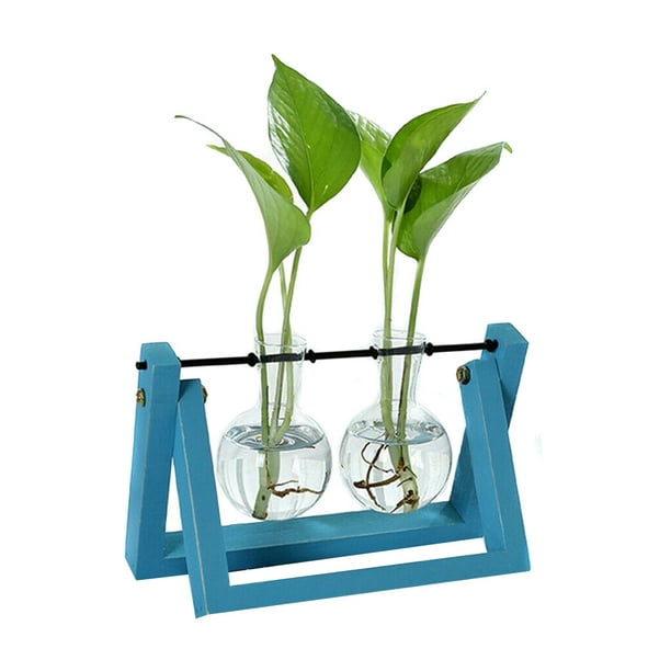 Hydroponic Glass Planter Bulb Vase with Wooden Stand Tray Tabletop Desk