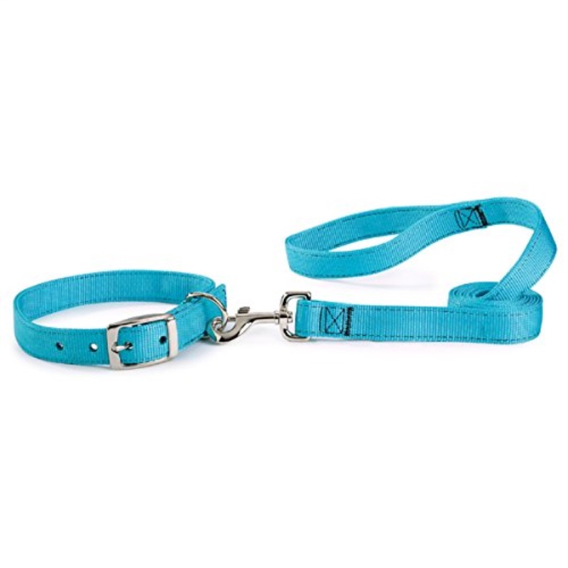 Guardian Gear Basic Nylon Double Layer Dog Leash, 6Feet x 1Inch Lead