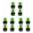 thumbnail image 1 of Advancent Planta artificial ecológica de 4 piezas, elección hermosa y sostenible, plantas suculentas artificiales, rosa del desierto Type1 NO1, 1 of 6