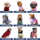 thumbnail image 2 of Sudadera con capucha para perro Spark Paws Premium Stretch, cálida, talla 2XL, 2 of 5