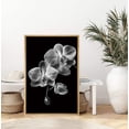 thumbnail image 4 of IDEA4WALL Framed Canvas Art Wall Decor Phalaenopsis Orchid Floral Flower Photography Minimalism Modern Closeup Dramatic Black and White for Dorm Home Office - 16"x24", 4 of 5