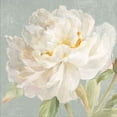 thumbnail image 2 of Great Art Now Garden Peony Neutral Crop by Danhui Nai, Framed Wall Art, 17.5W x 17.5H, 2 of 3