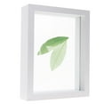 thumbnail image 2 of WHAMVOX Plantes Décorent Cadres Photo Verre Blanc Protection Photo Famille 1 Ensemble, 2 of 7