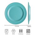thumbnail image 5 of TP 11" Melamine Dinner Plates, 6-piece Plate Set Serving Dishes for Indoors and Outdoors, Turquoise, 5 of 7