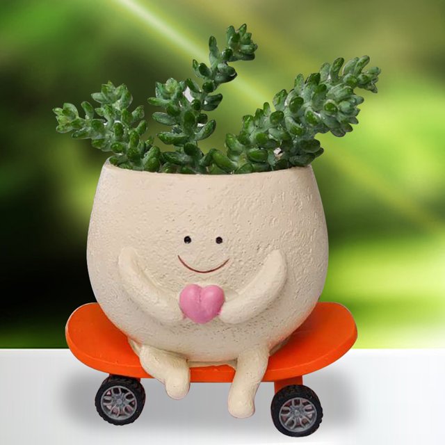 Maceta colgante macetas suculentas creativas y bonitas para plantas de interior y exterior