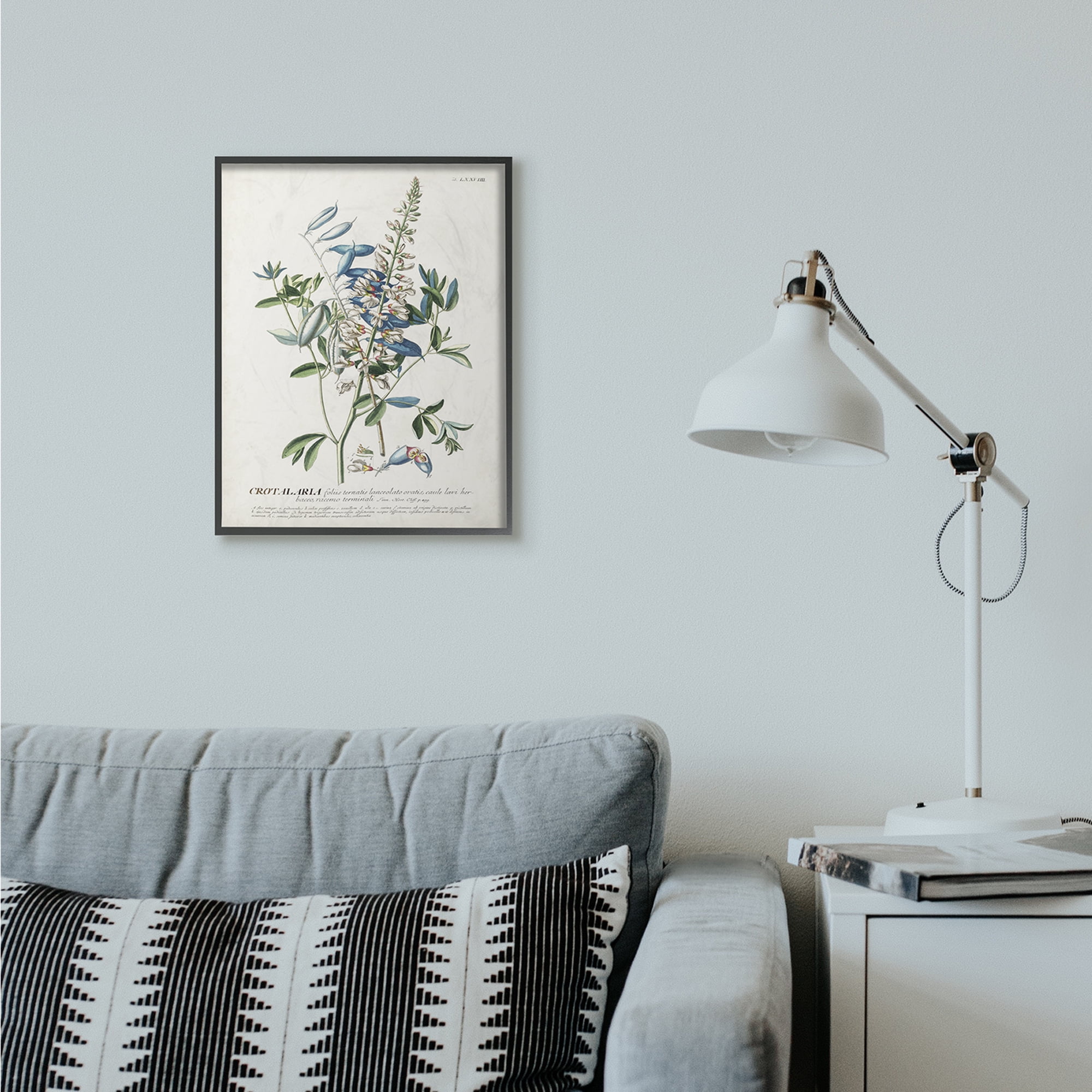 Stupell Industries Botanical Plant Illustration Flowers And Leaves Vintage Design Framed Wall Art by Unknown