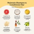 thumbnail image 3 of Set de champú y acondicionador en barra NATURÉL Maintain con aceite de pomelo y aceite de ricino, 3 of 9