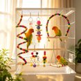 thumbnail image 6 of Toys For Cage Birds Chew Toys Set With Swings Blocks Colorful Bells And Ladders Natural Safe Birds Cage Accessories For Small Medium Birds, 6 of 6