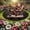 #Style 7, variant on NuoCaiYun Santa'S Sleigh Acrylic Ornament Beautify Potted Plants Garden Decor Outdoor for Holiday Gifts