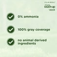 thumbnail image 4 of Tinte para el cabello Clairol Root Touch-Up Natural Instincts 4R Auburn, 4 of 8