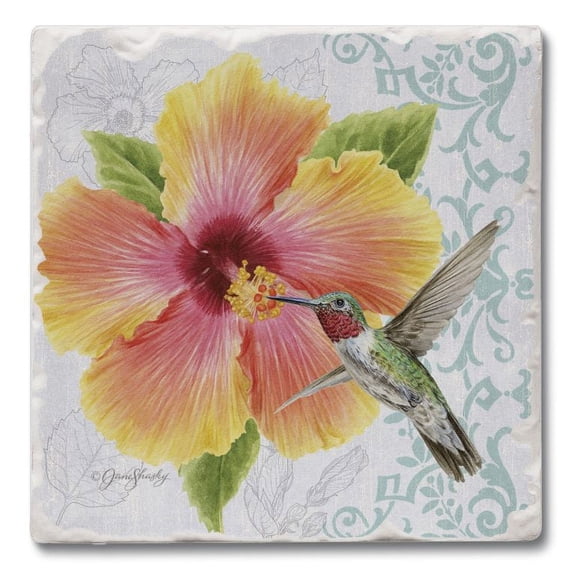 Absorbent Stone Beverage Coasters - Set of 4 - Hibiscus