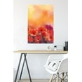 thumbnail image 6 of Red Poppy Flowers Wall Poster, 22.375" x 34", 6 of 6