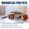 thumbnail image 5 of QARUN Pet Wound Healing Gel Fast Acting,Cat Wound Care Antimicrobial Skin Repair for Cats and Dogs,Safe and Non-Toxic Formula,20Ml, 5 of 7