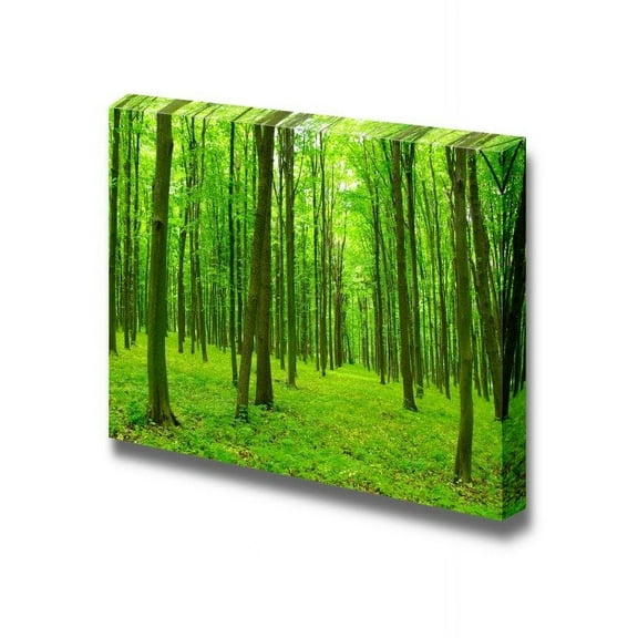 Canvas Prints Wall Art - Trees in a Green Forest in Spring | Modern Wall Decor/Home Decoration Stretched Gallery Canvas Wrap Giclee Print & Ready to Hang - 32" x 48"