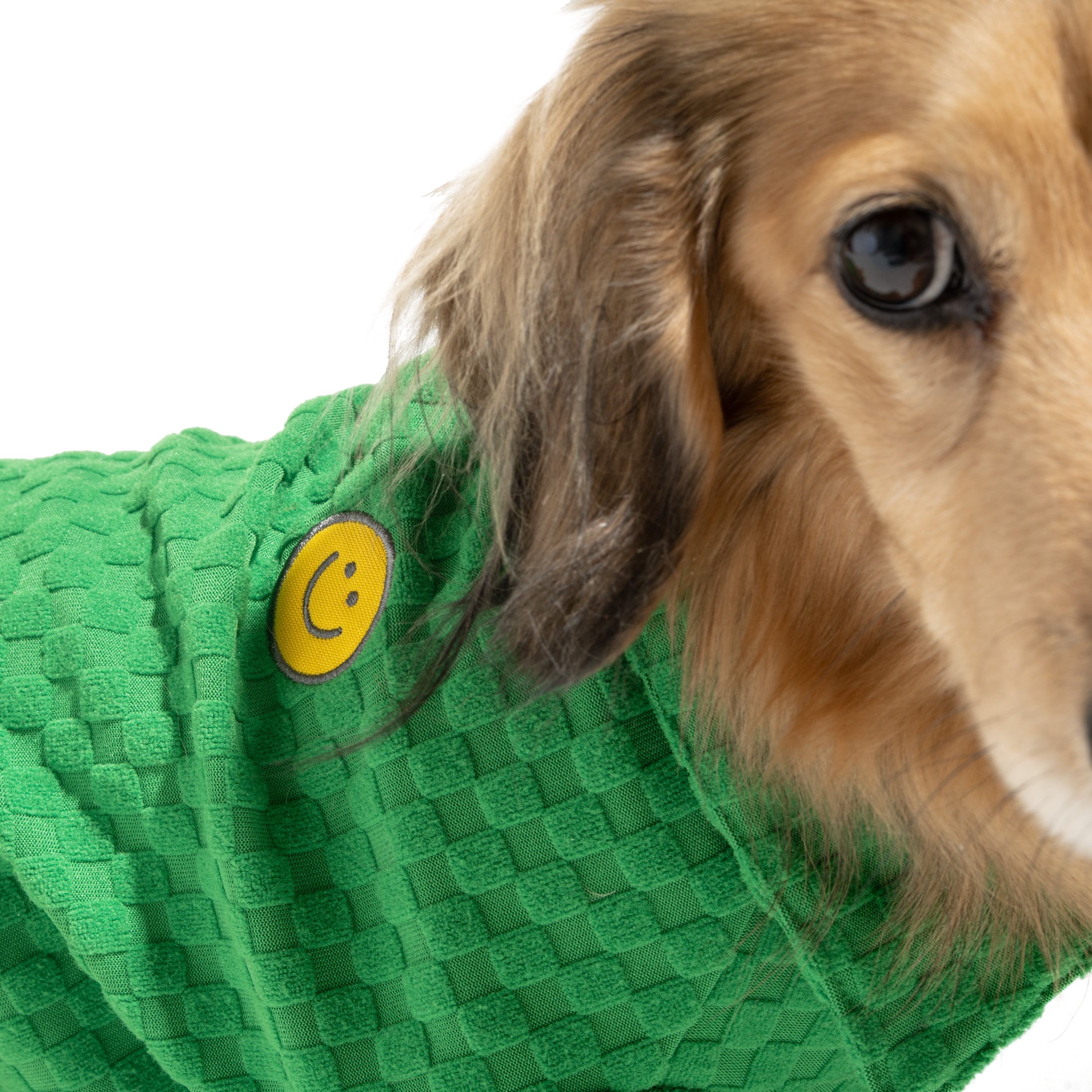 Oodles Green Boxy Button-Up Checkered Spring Dog T-Shirt, XS
