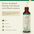 thumbnail image 2 of Bach Original Flower Remedies, Agrimony - 20 mL Dropper, 2 of 6