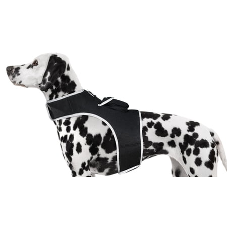 Rechargeable Realtime Tracker w/ Perimeter Fencing Capable Pet GPS App Size:M