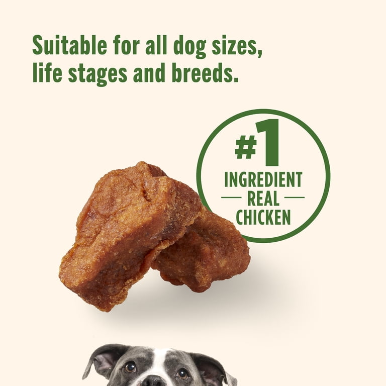 Nutrish Savory Roasters Chicken Recipe Dog Treats, 12 oz pouch