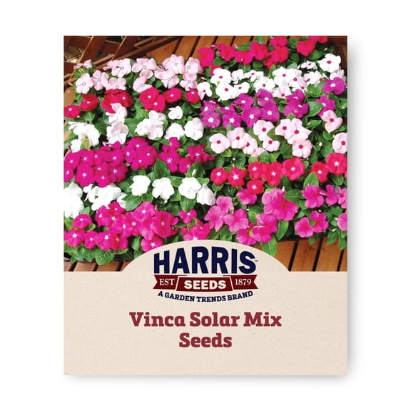 Harris Seeds - Vinca Solar Mix F1 Seeds - Fast Germination - 250 Seeds