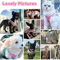 thumbnail image 2 of Soft Small Dog Harness and Leash Set Mesh Puppy Harnesses Leash Easy Walk Dog Harness Vest Adjustable Reflective No Pull Dog Harnesses for Small Dogs Cats, 2 of 7