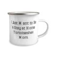 thumbnail image 2 of I Just Want to Be a Stay at Home Tortoiseshell Mom. 12oz Camper Mug, Tortoiseshell Cat, Inspire Gifts For Tortoiseshell Cat, Funny tortoiseshell cat gift ideas, Funny tortoiseshell cat gifts,, 2 of 2