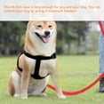 thumbnail image 3 of Correa Reflectante para Perros y Gatos en Color Rojo, Ideal para Paseos Nocturnos con Seguridad y Comodidad, Hecha de Nylon Duradero, Longitud de 118 cm, Incluye Empaque Plástico Protector., 3 of 6