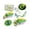 A, variant on Outdoor Insect Observation Set, Bug-Catching Kit with Viewing Tools for Nature Exploration, Educational Toy for Backyard Camping Hiking Gifts B