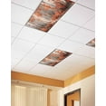 thumbnail image 2 of Fluorescent Light Covers for Ceiling Lights 2 Pack, Red Orange Magnetic Ceiling Light Covers 2x4 Feet for Classroom Office School, Modern Oil Painting Art Forest Overhead Drop Ceiling Light Shade, 2 of 7