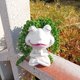 thumbnail image 1 of Maceta De Resina Con Estatua De Rana De Meditación Figurita de rana de Yoga de resina, escultura Animal bonita, decoración de escritorio, decoración creativa para el hogar, 1 of 7